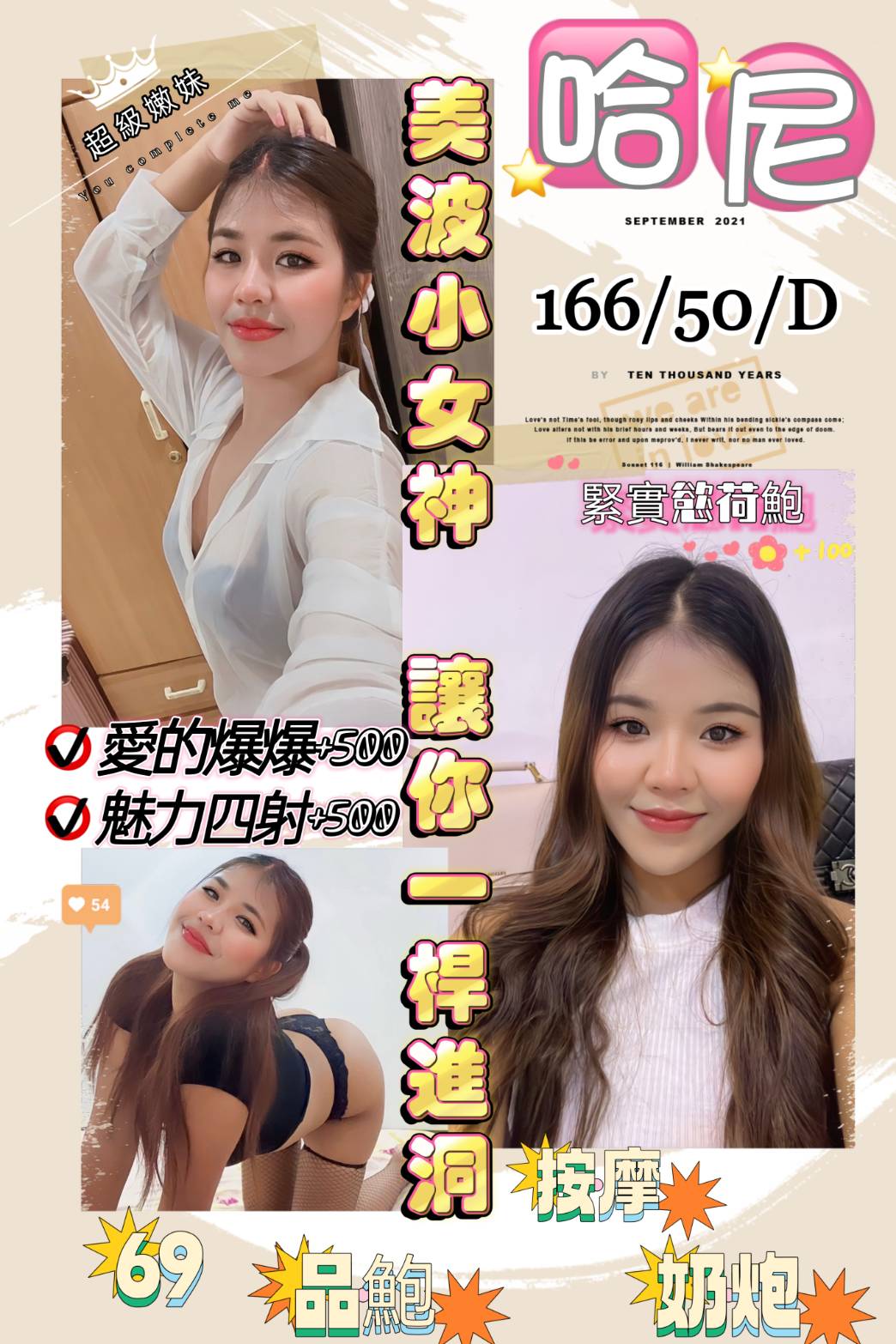 桃園定點茶:哈尼166/50/D