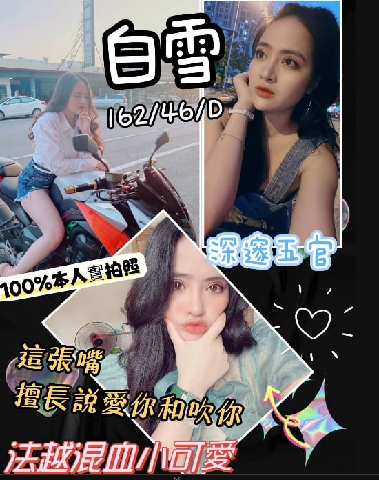 桃園定點茶:白雪162/46/D