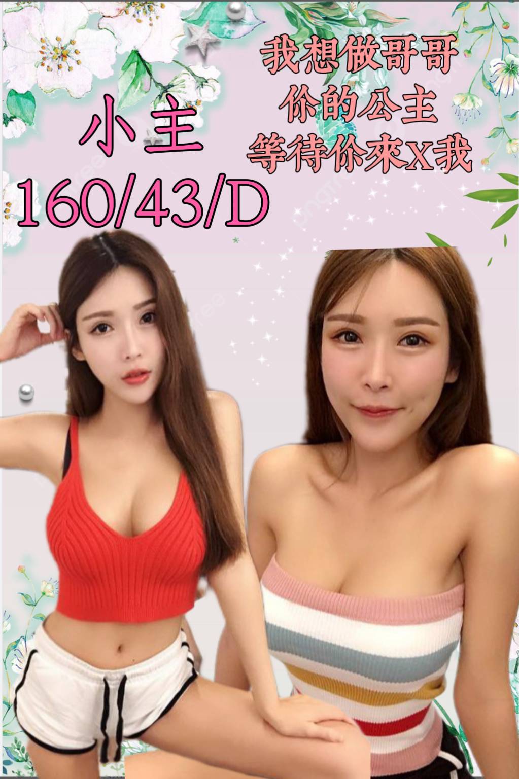 新北定點茶:小主160/43/D