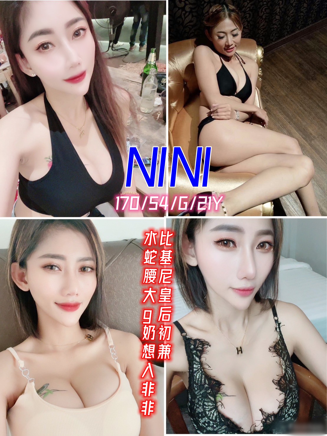 新北定點茶:NINI170/54/G/21Y