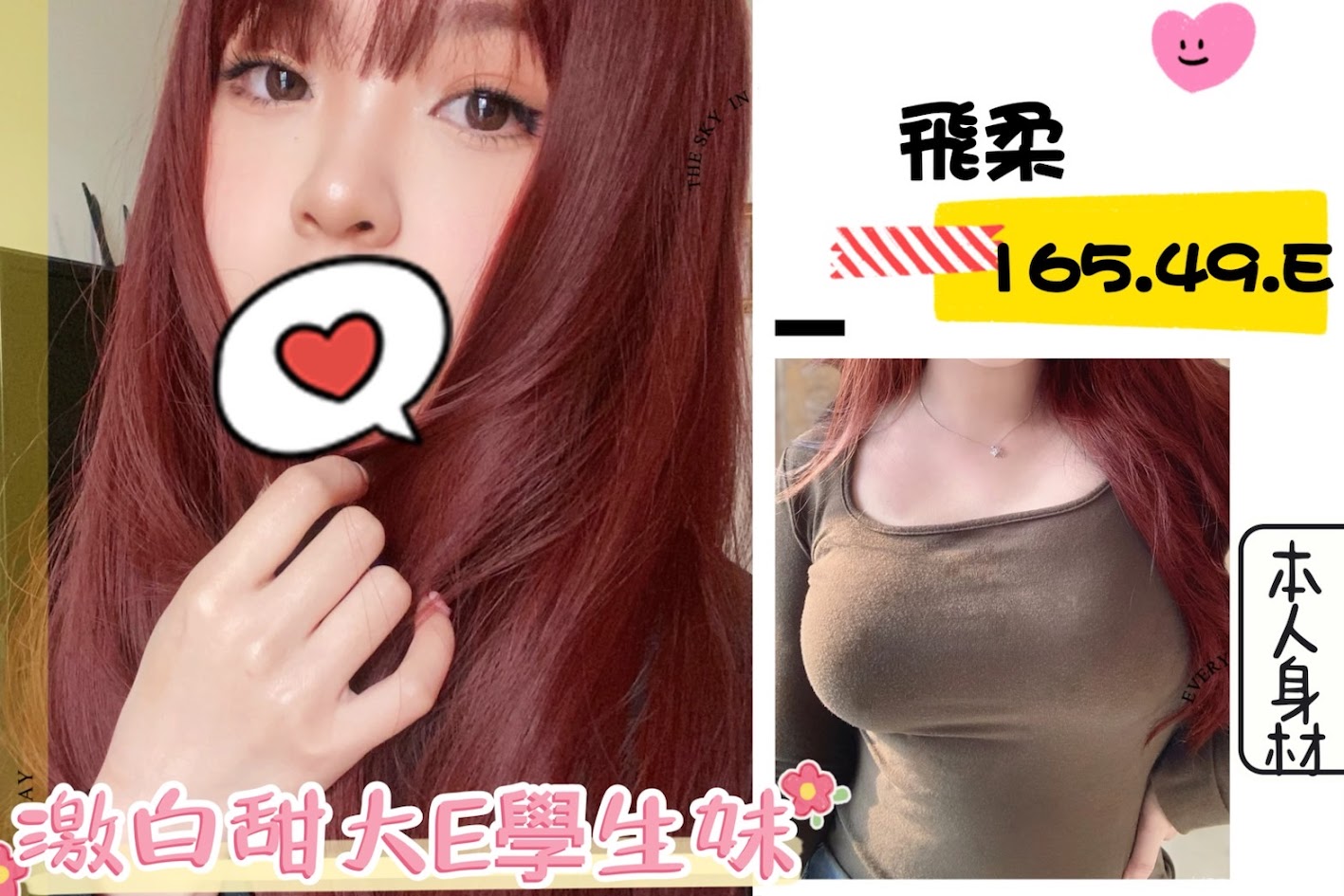 台北外送茶: 飛柔165/49/E/20Y