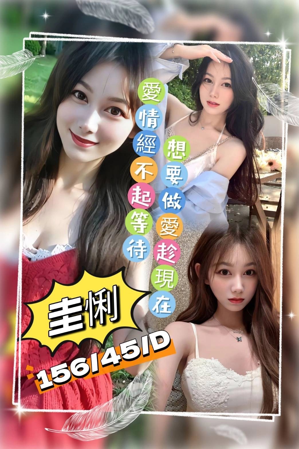 桃園定點茶-圭悧/156/45/?/D