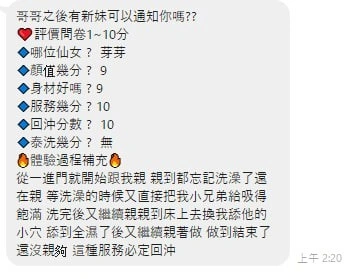 新竹定點茶-芽芽/156/45/21/D