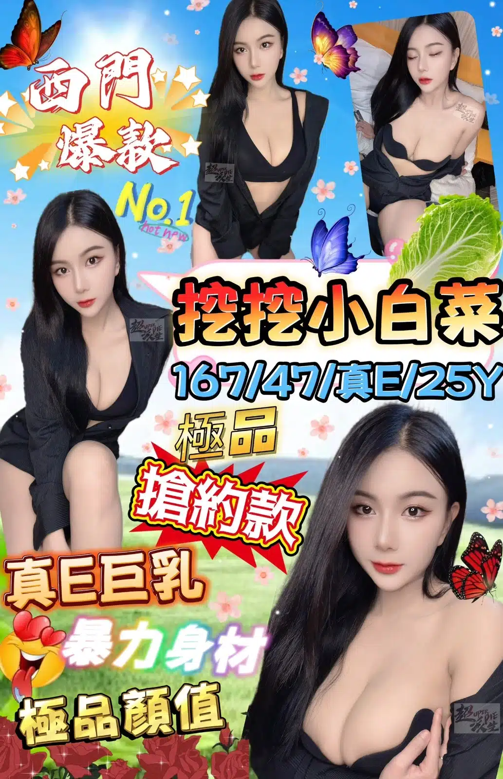 台北定點茶-挖挖小白菜/167/47/25/E