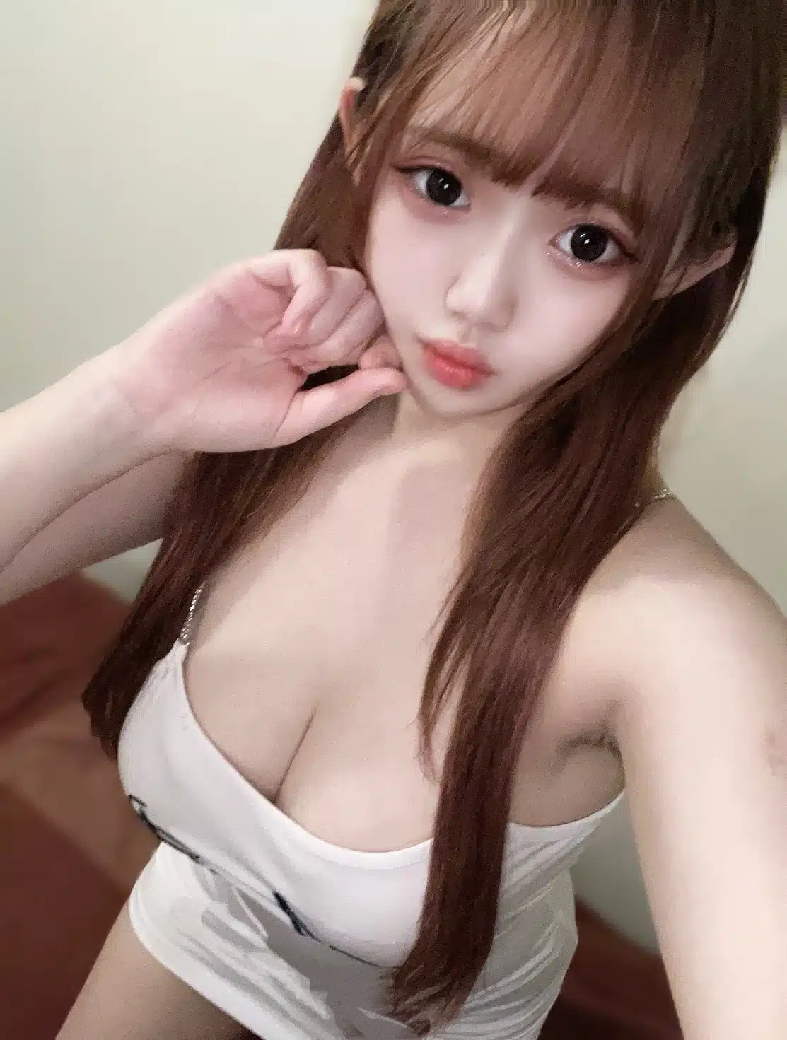 台北定點茶-桃香/155/45/23/E