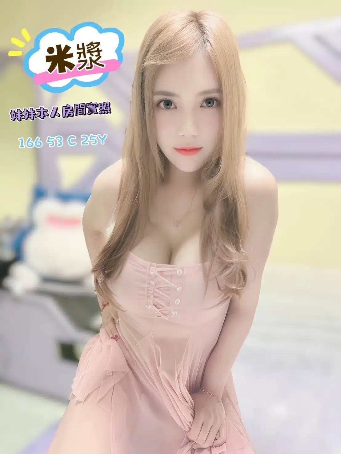 嘉義定點茶-米漿/166/53/25/C