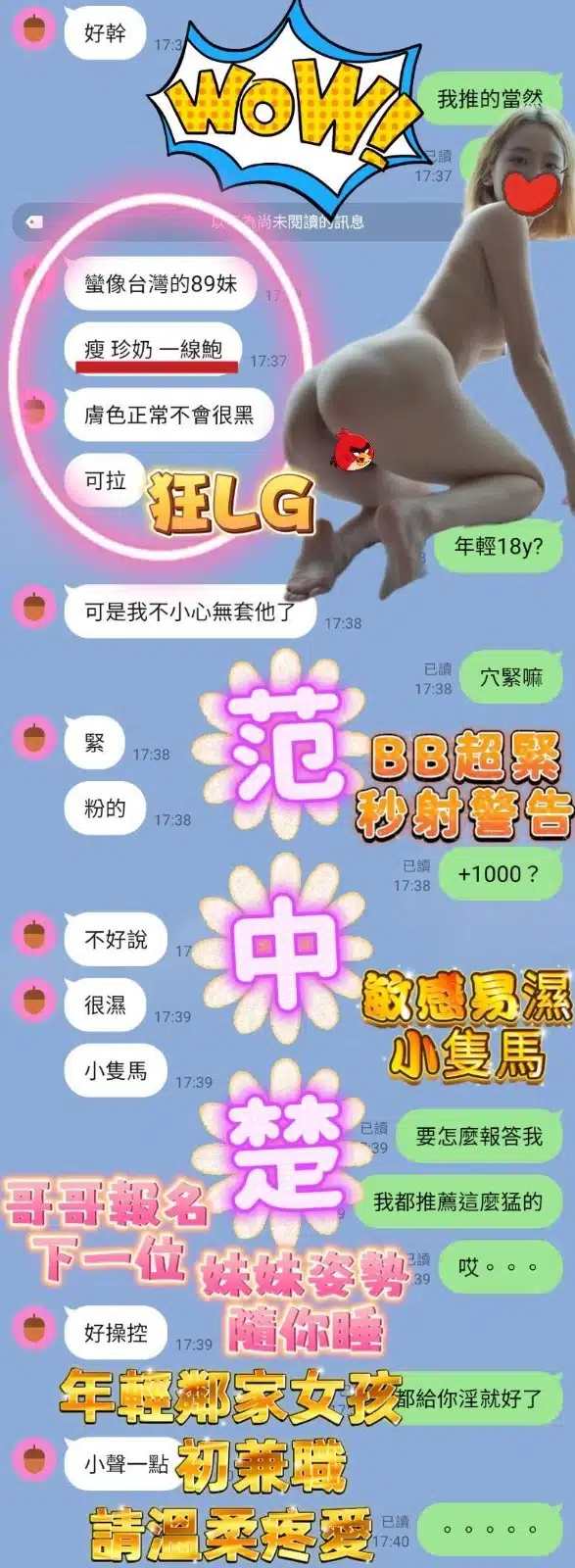 高雄定點茶-范中楚/151/41/18/D