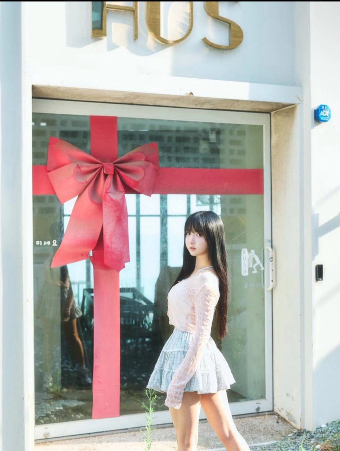 台南定點茶-花蜜璃/162/45/23/E