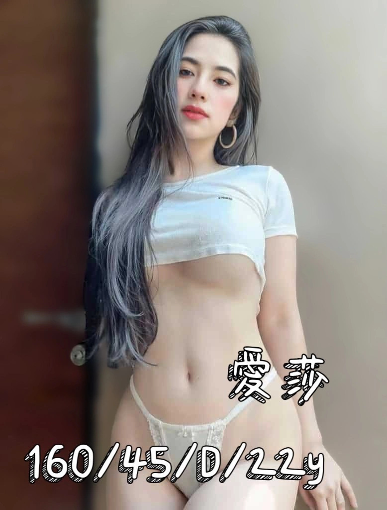 台北定點茶-愛莎/160/45/22/D