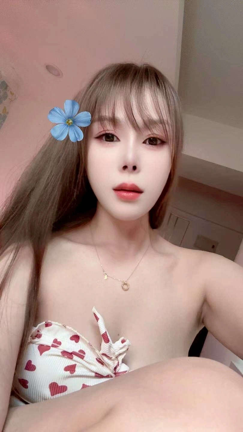 新竹定點茶-餒餒/159/48/27/E