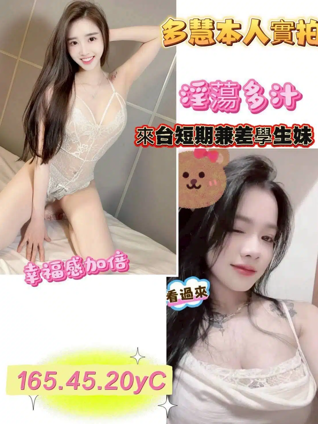 台南定點茶-多慧/165/45/20/C