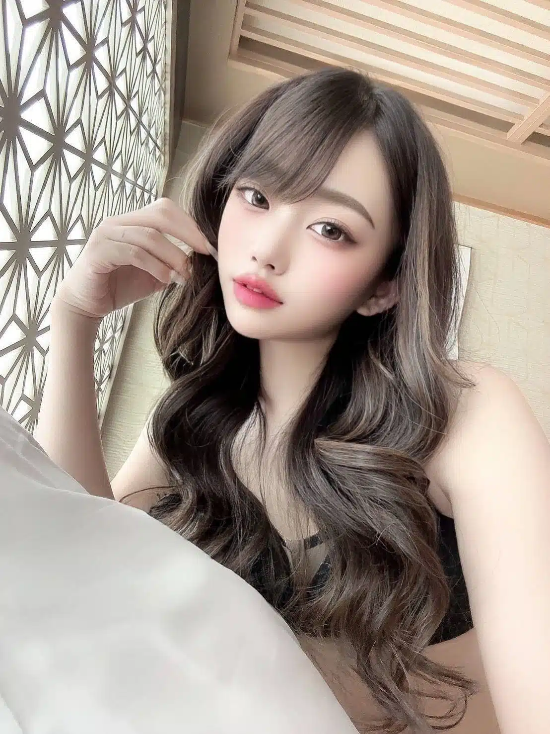 新竹定點茶-藤沙妃/157/43/21/D