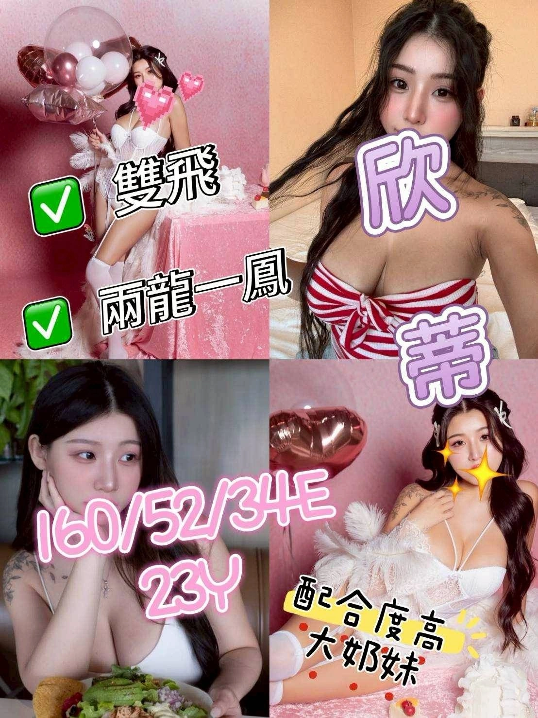 嘉義外送茶-欣蒂/160/52/23/E